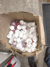 Load image into Gallery viewer, Damaged Proraso Products